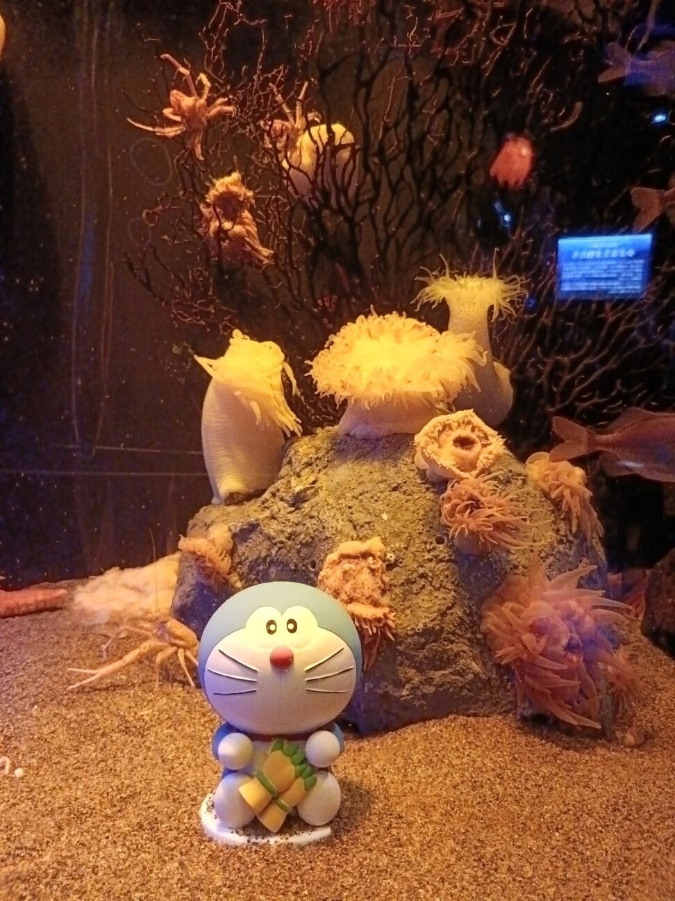 f:id:koikesan:20260311115738j:image
