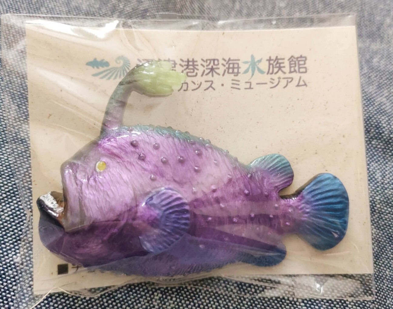f:id:koikesan:20260311122131j:image