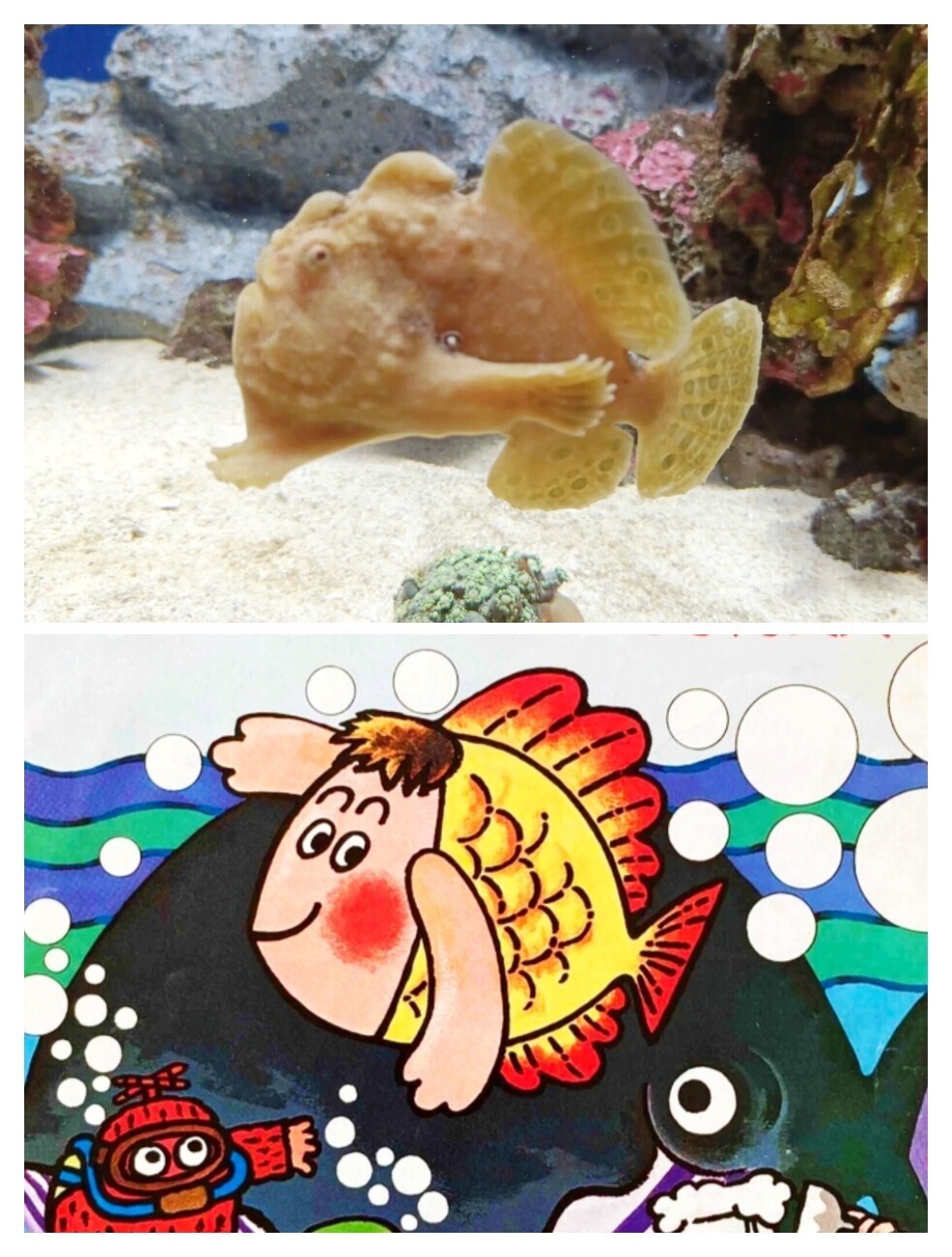 f:id:koikesan:20260311134952j:image