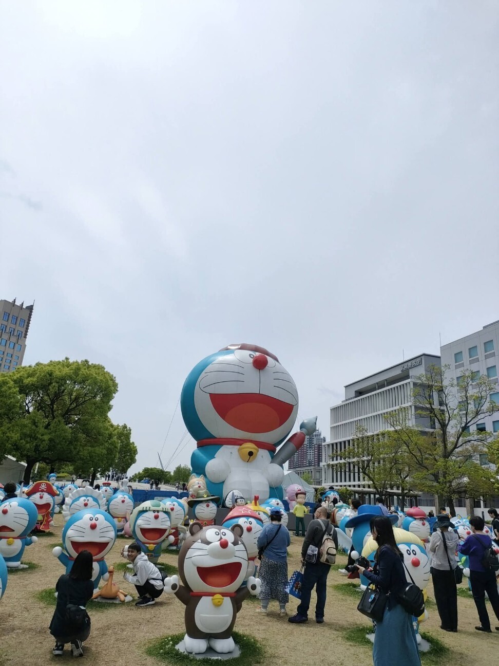 f:id:koikesan:20260622053646j:image f:id:koikesan:20260622053646j:image