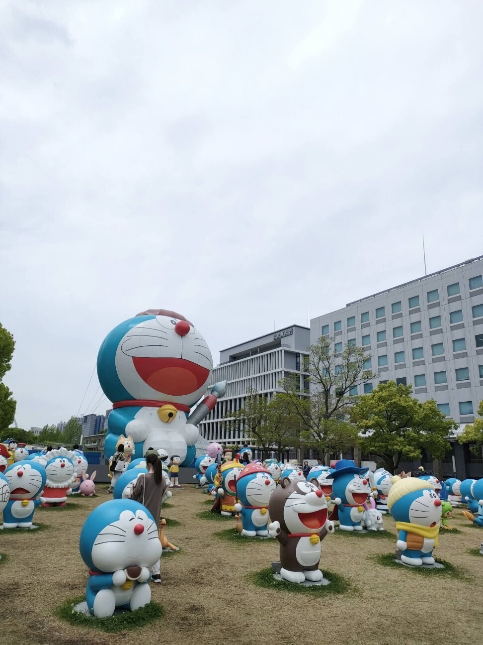 f:id:koikesan:20260622053647j:image f:id:koikesan:20260622053647j:image