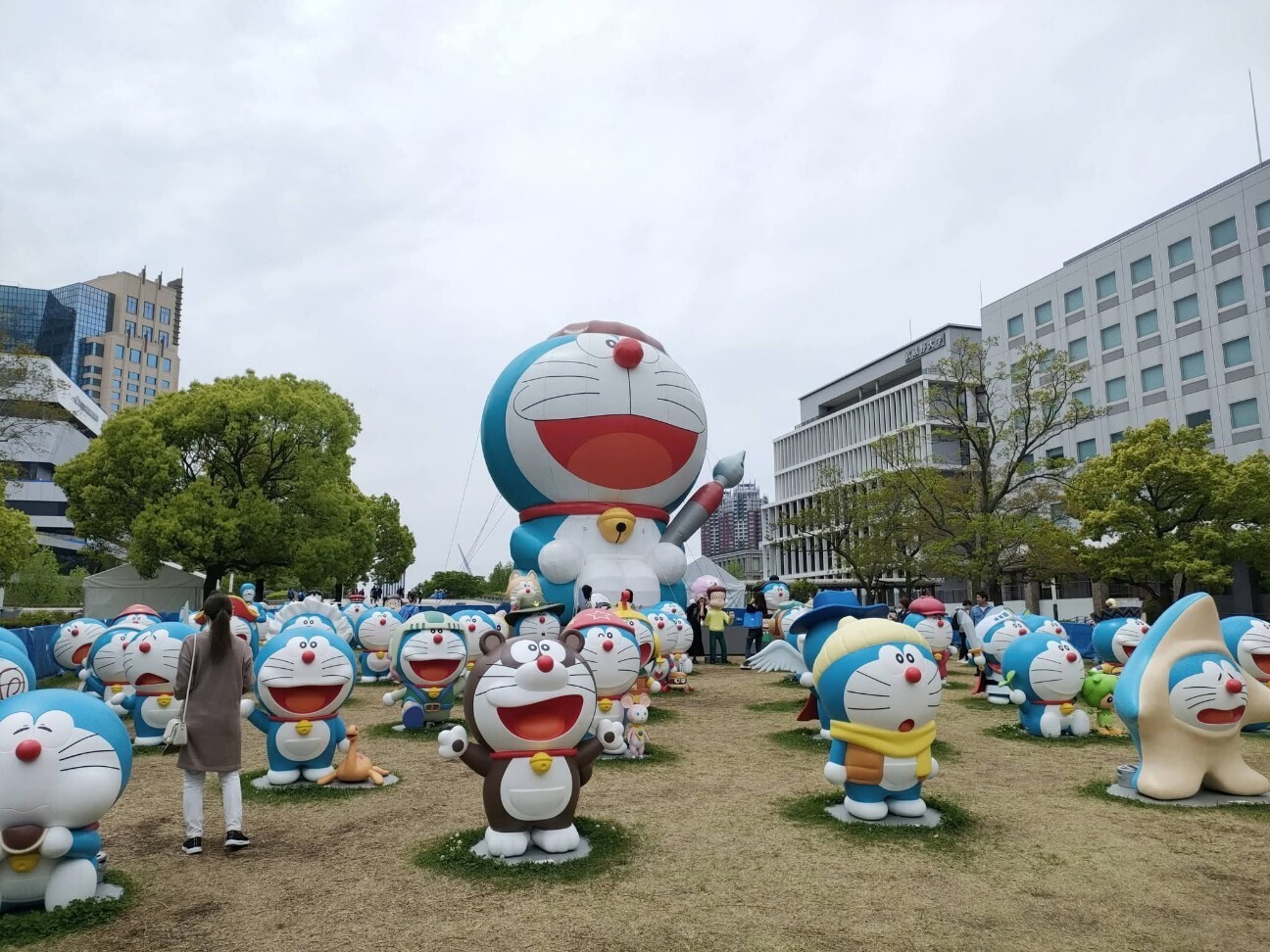f:id:koikesan:20260622053649j:image f:id:koikesan:20260622053649j:image