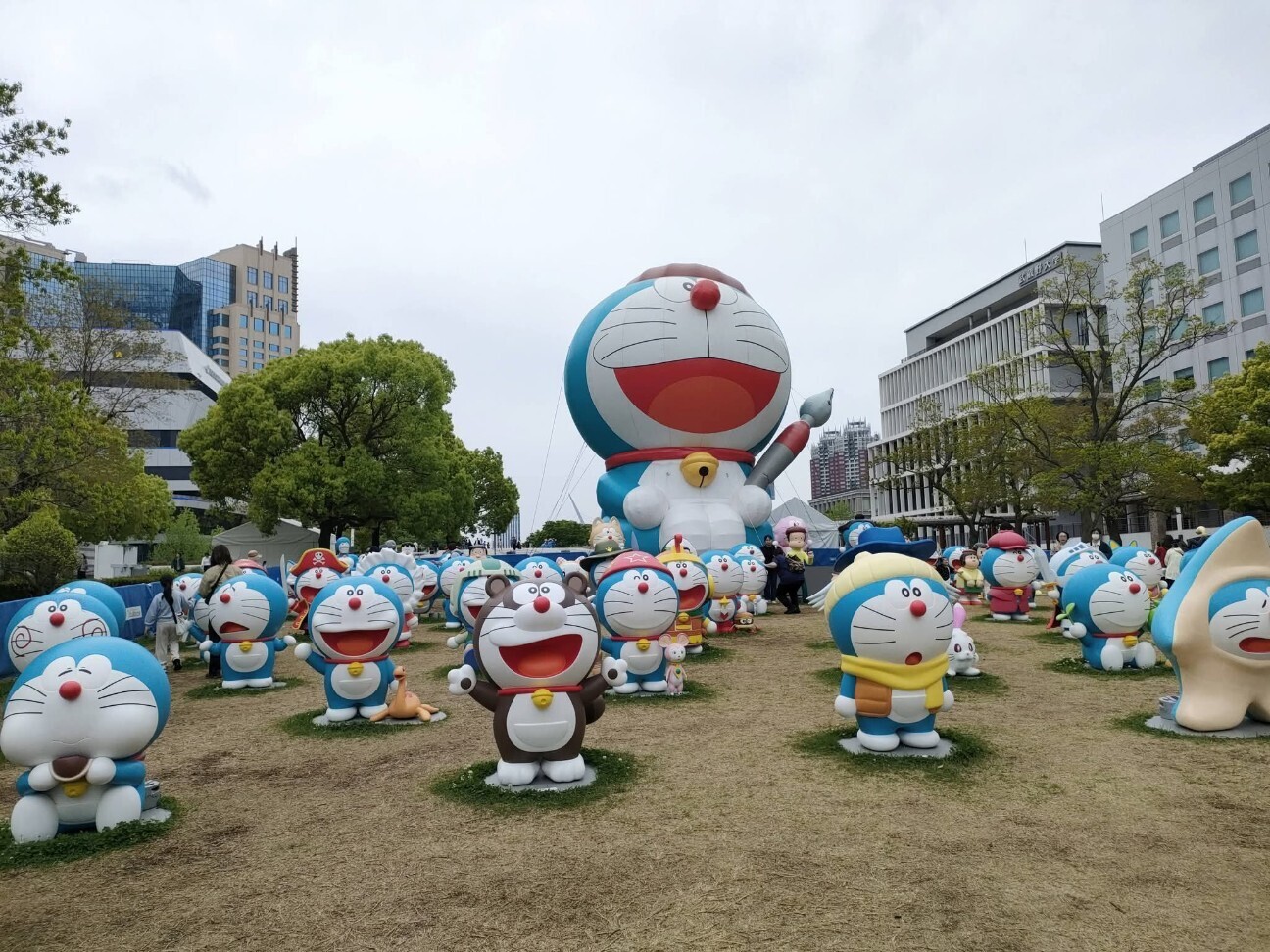 f:id:koikesan:20260622053732j:image f:id:koikesan:20260622053732j:image