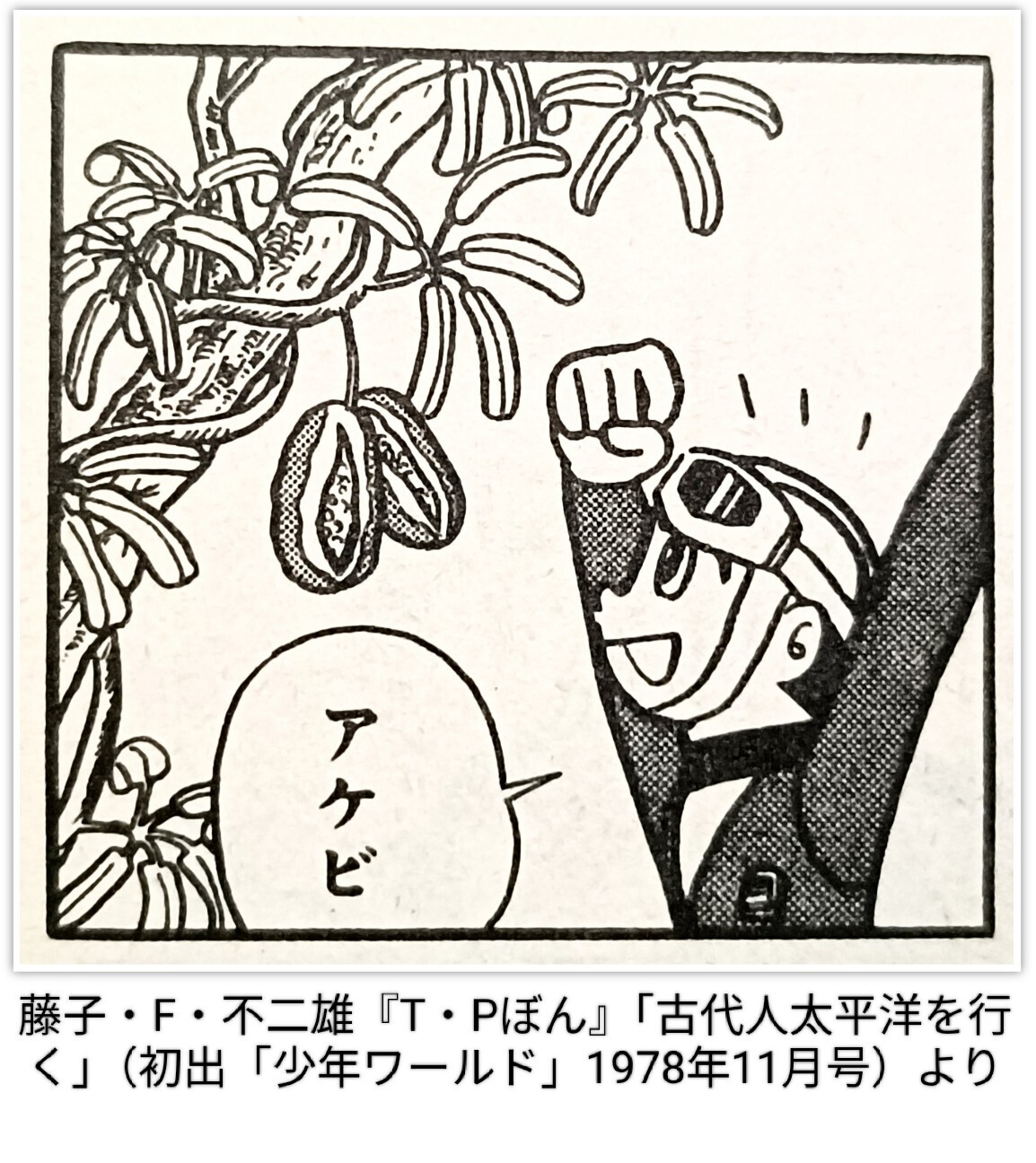 f:id:koikesan:20260926081010j:image