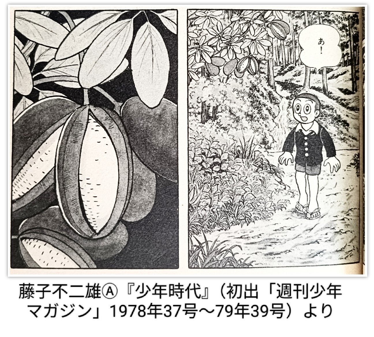 f:id:koikesan:20260926081011j:image
