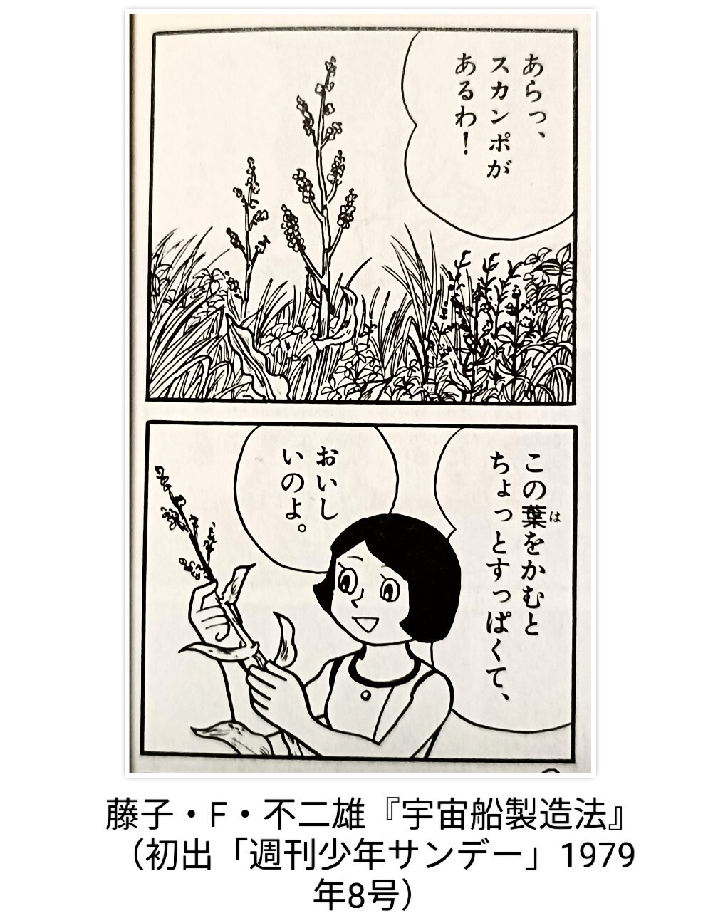 f:id:koikesan:20260926083114j:image
