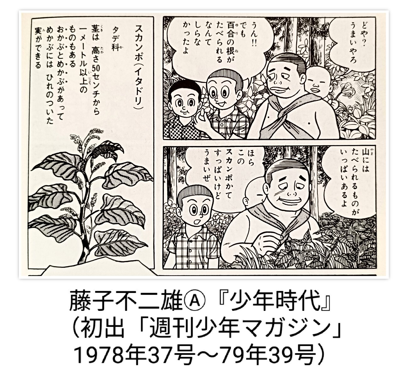 f:id:koikesan:20260926083115j:image
