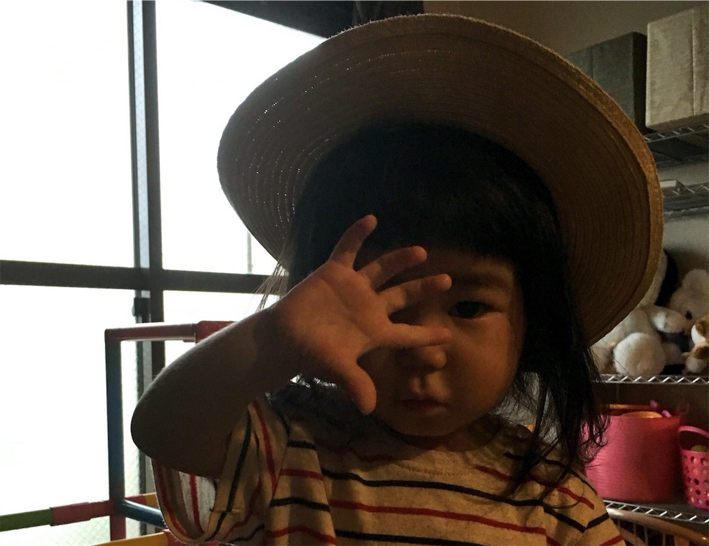 f:id:koikex:20160629072641j:image