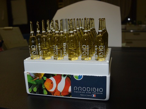 f:id:koikoimatsuda:20200407204724j:plain