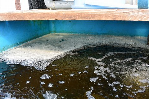 f:id:koikoimatsuda:20200408190349j:plain