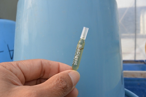 f:id:koikoimatsuda:20200408191620j:plain