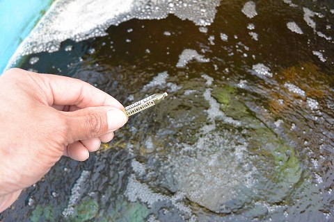 f:id:koikoimatsuda:20200408191753j:plain