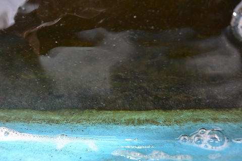 f:id:koikoimatsuda:20200408193129j:plain