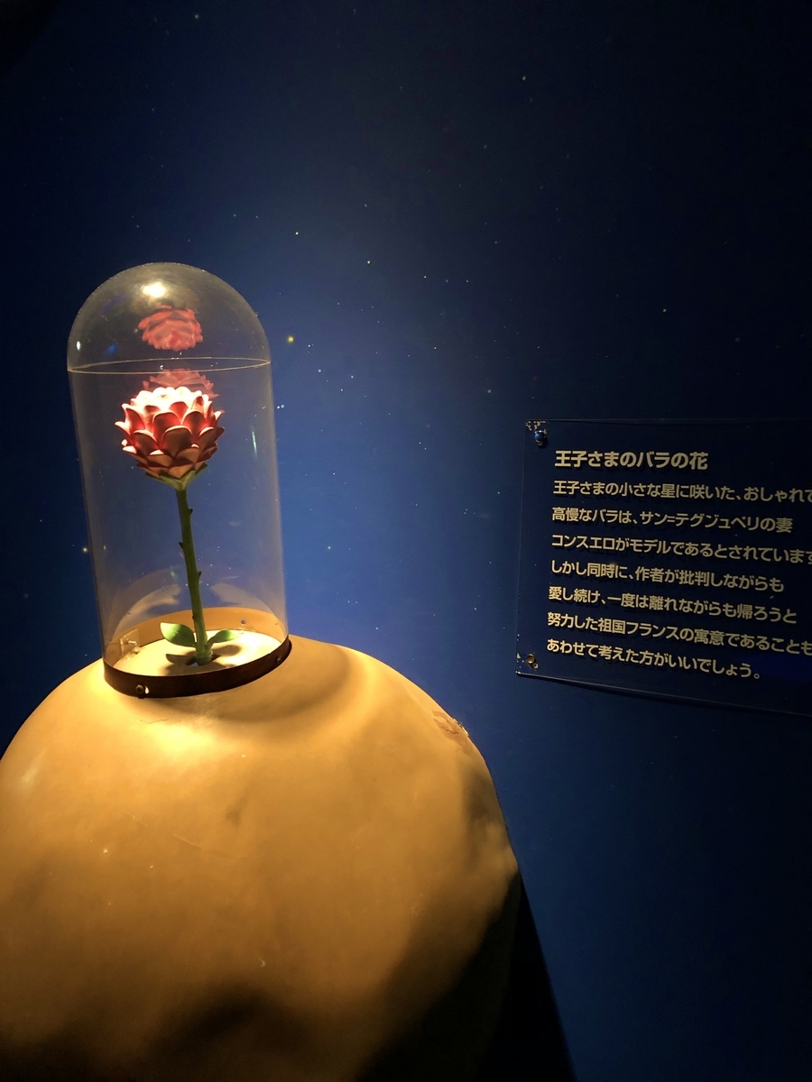 星の王子様