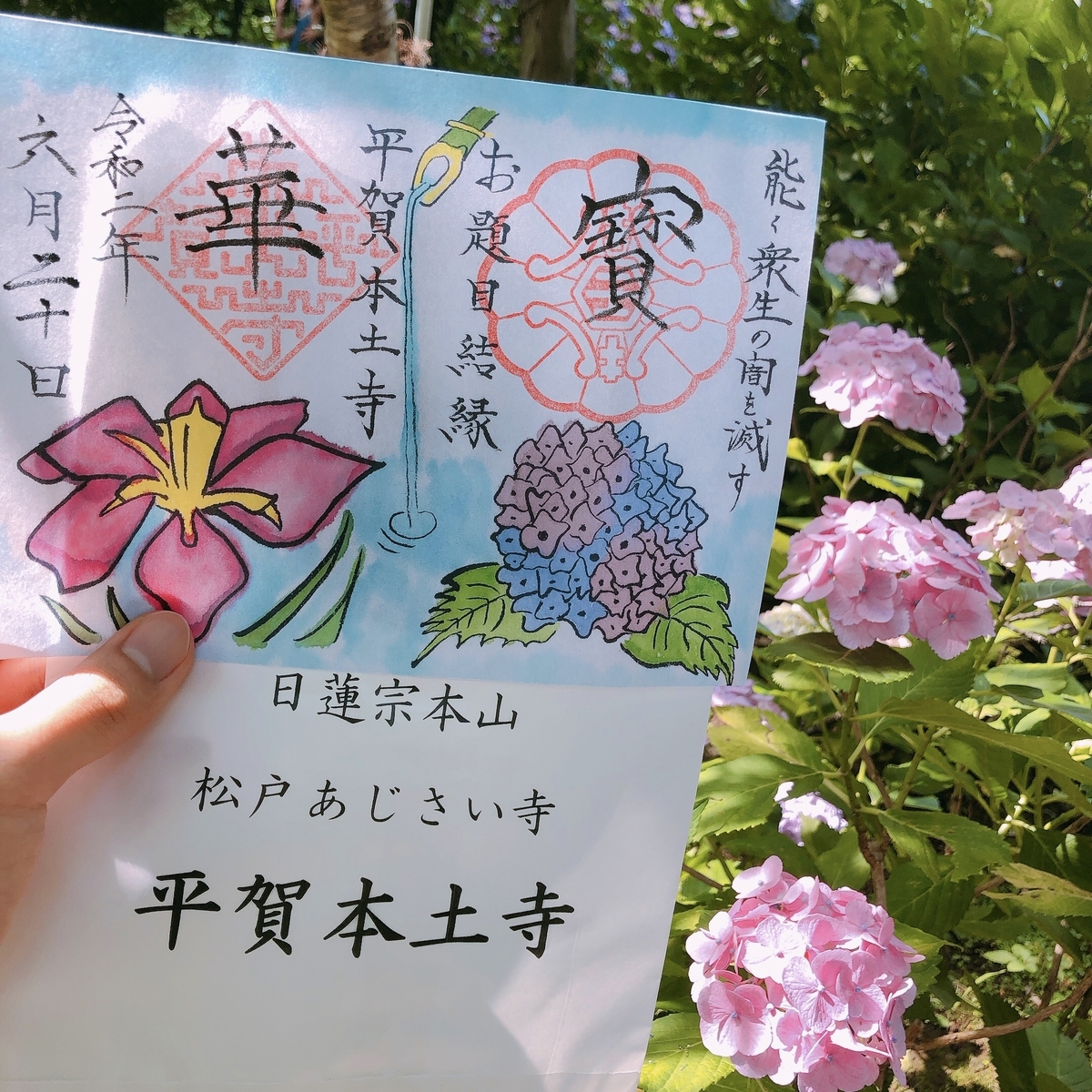 あじさい寺