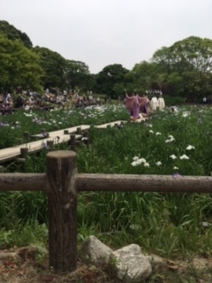 f:id:koinoura:20170531224614j:plain