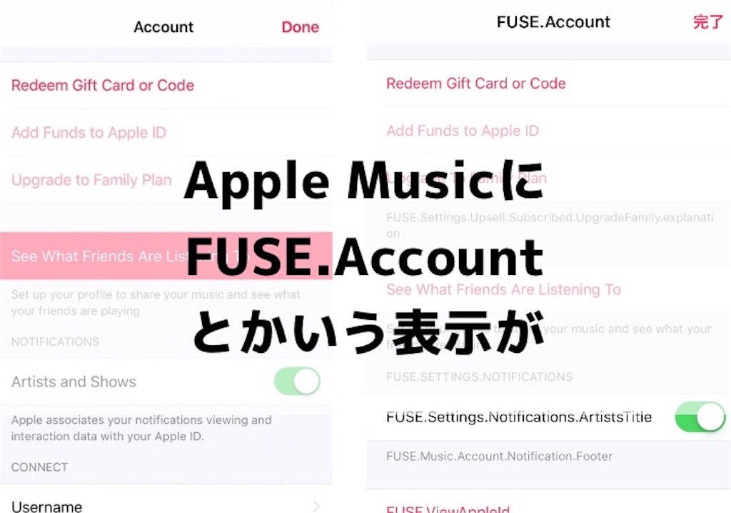 f:id:koishi4041:20190115120031j:image:w500 f:id:koishi4041:20190115120031j:image:w500