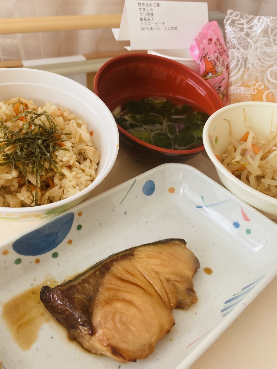 f:id:koishimarulog:20210104201539j:plain