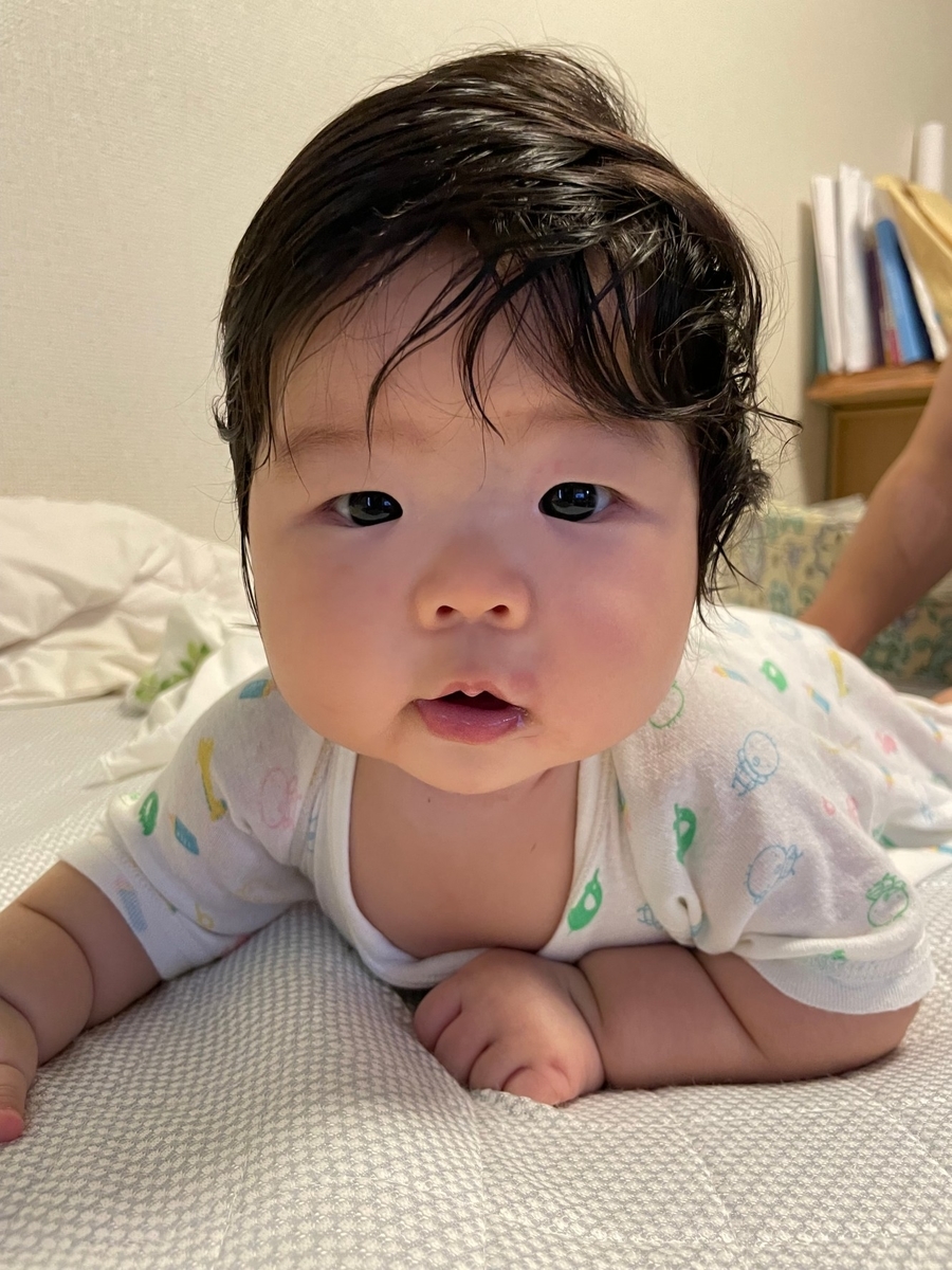f:id:koishimarulog:20210807212525j:plain