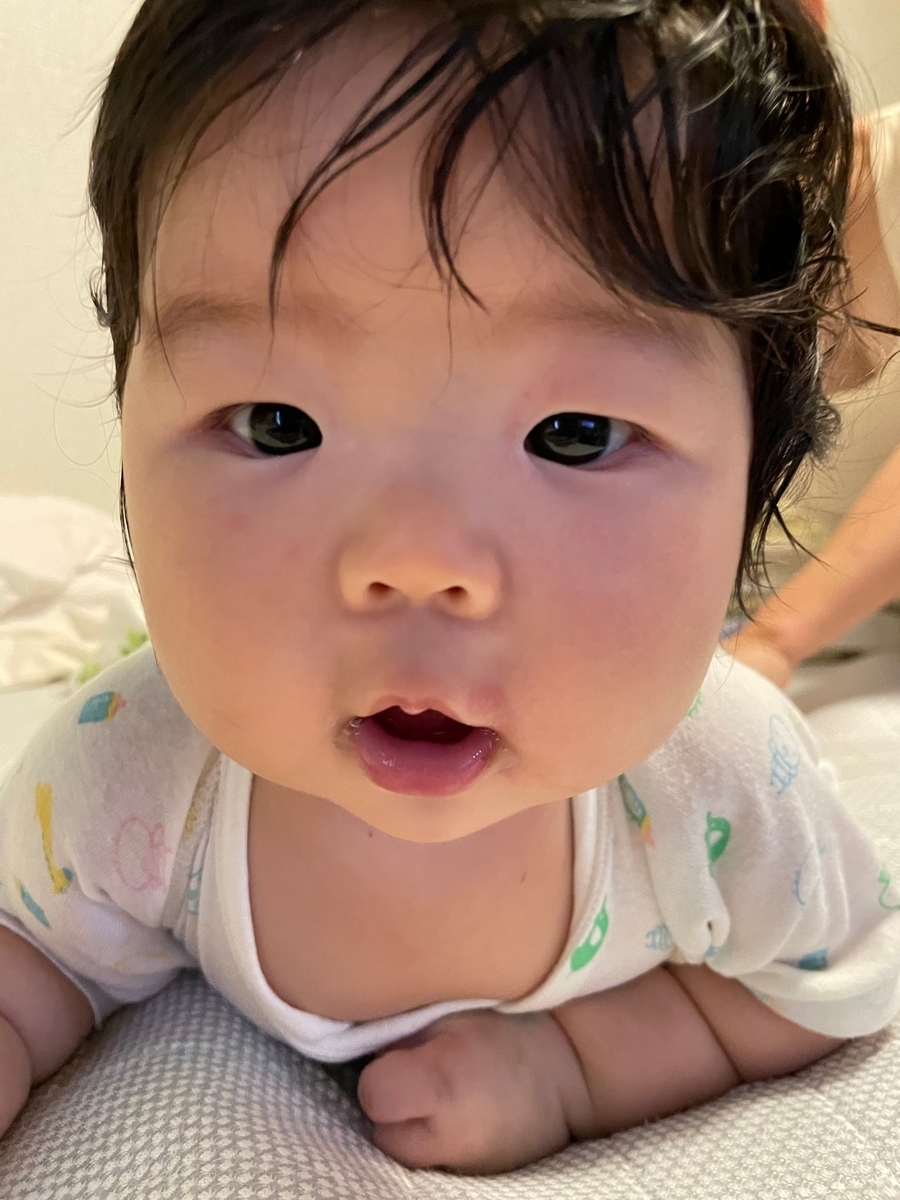 f:id:koishimarulog:20210807212548j:plain