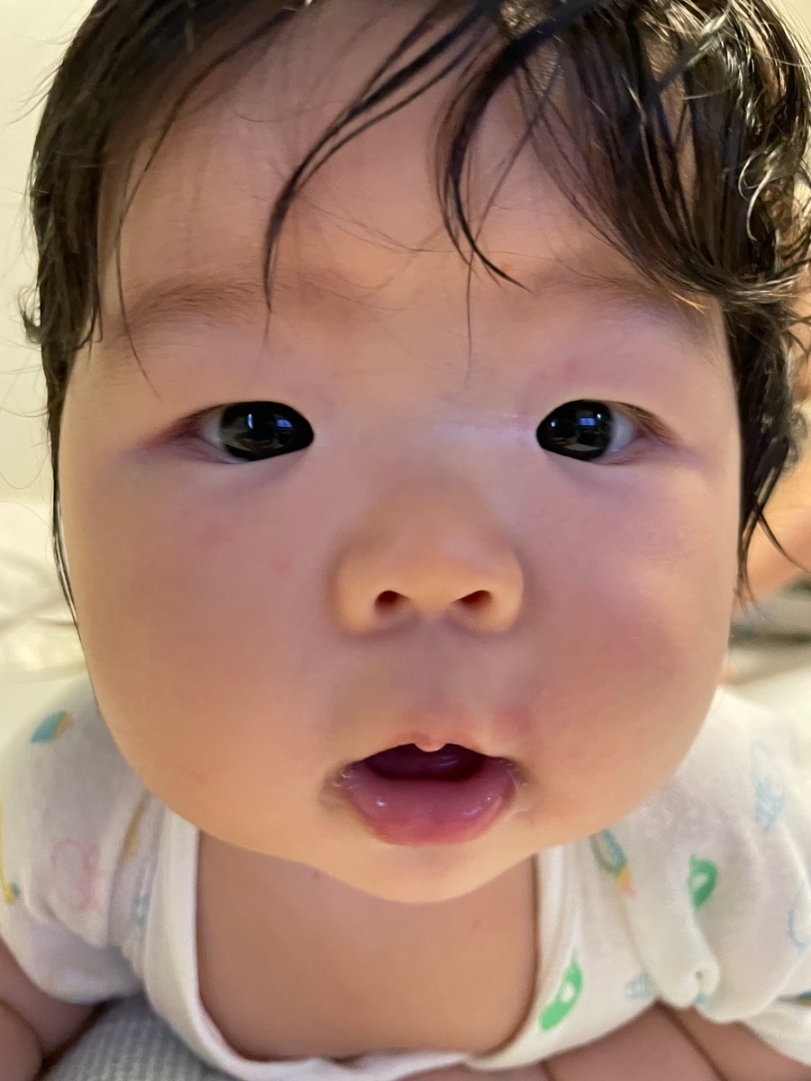 f:id:koishimarulog:20210807212604j:plain