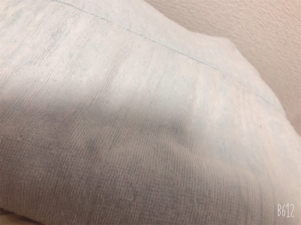 f:id:koisu_butterfly:20210404234114j:image