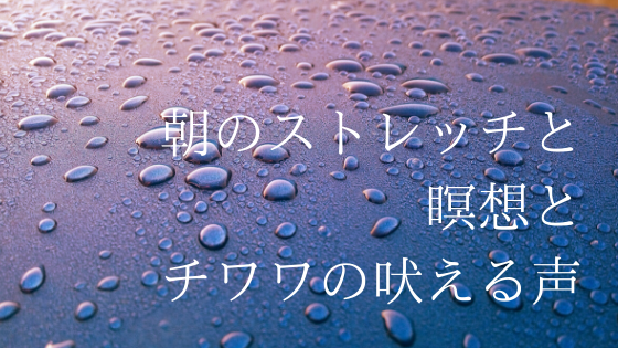f:id:koisurulifeshift:20200413122716p:plain f:id:koisurulifeshift:20200413122716p:plain