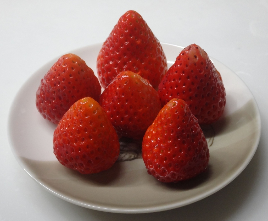 f:id:koitei:20180117082337j:plain f:id:koitei:20180117082337j:plain