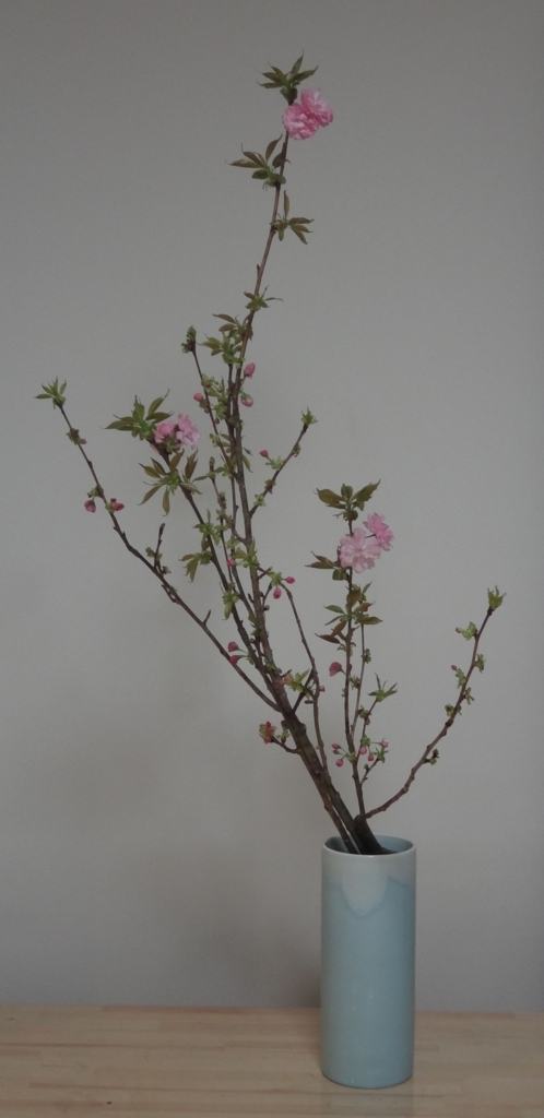 f:id:koitei:20180409234233j:plain f:id:koitei:20180409234233j:plain