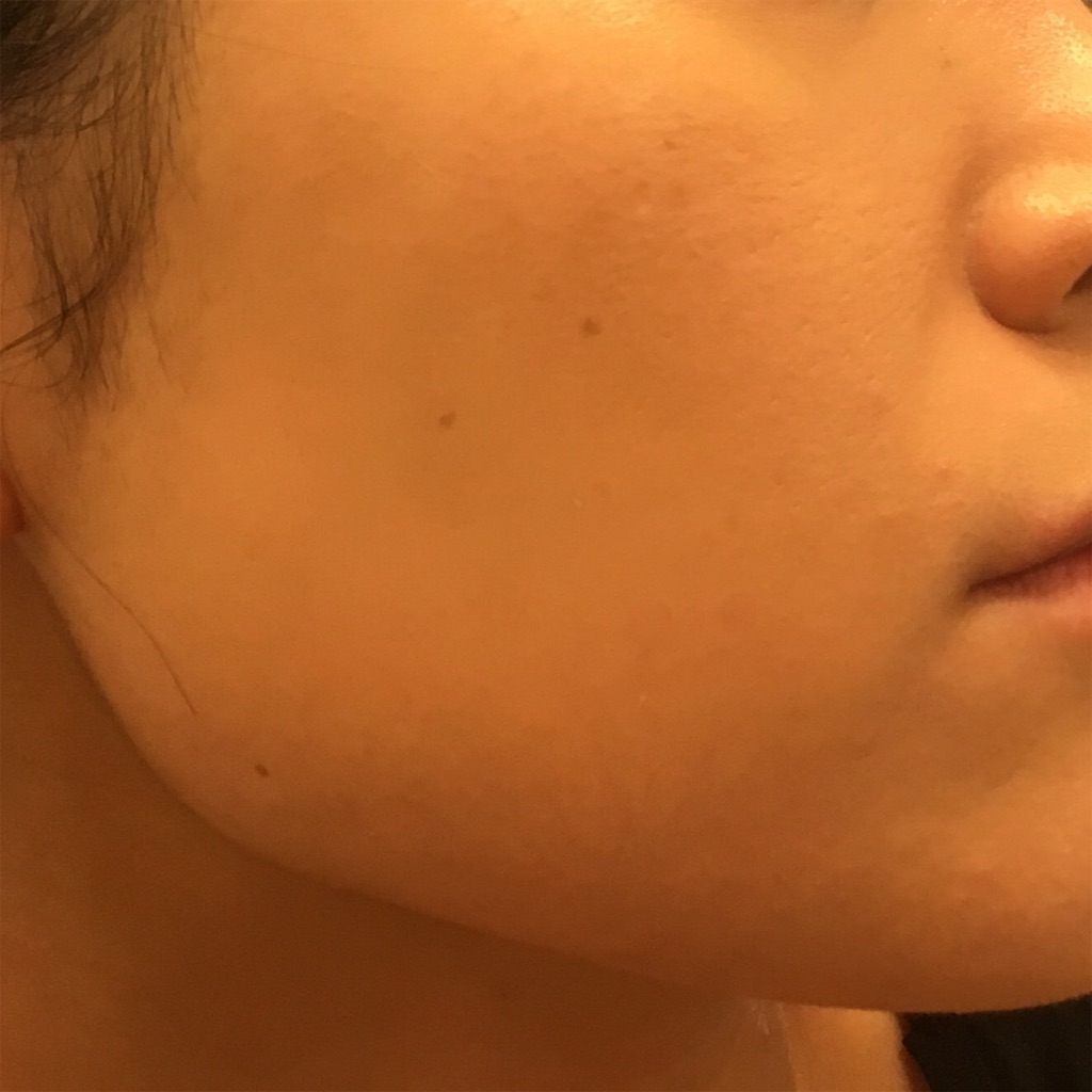 f:id:koji-ka:20190906224301j:image f:id:koji-ka:20190906224301j:image