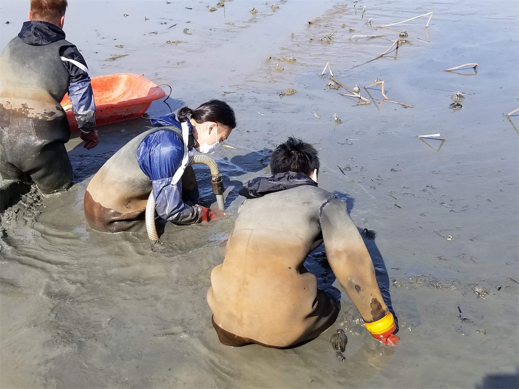f:id:koji-tamura0929:20180330135021j:image f:id:koji-tamura0929:20180330135021j:image