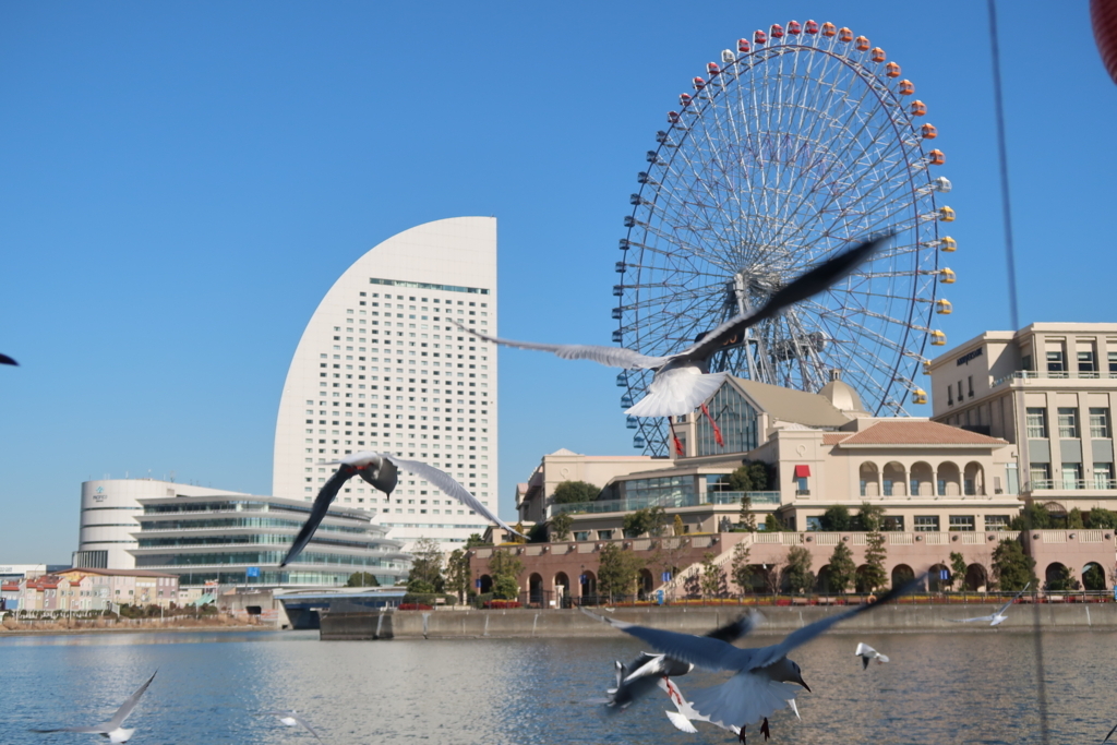 f:id:koji-x:20180303130240j:plain