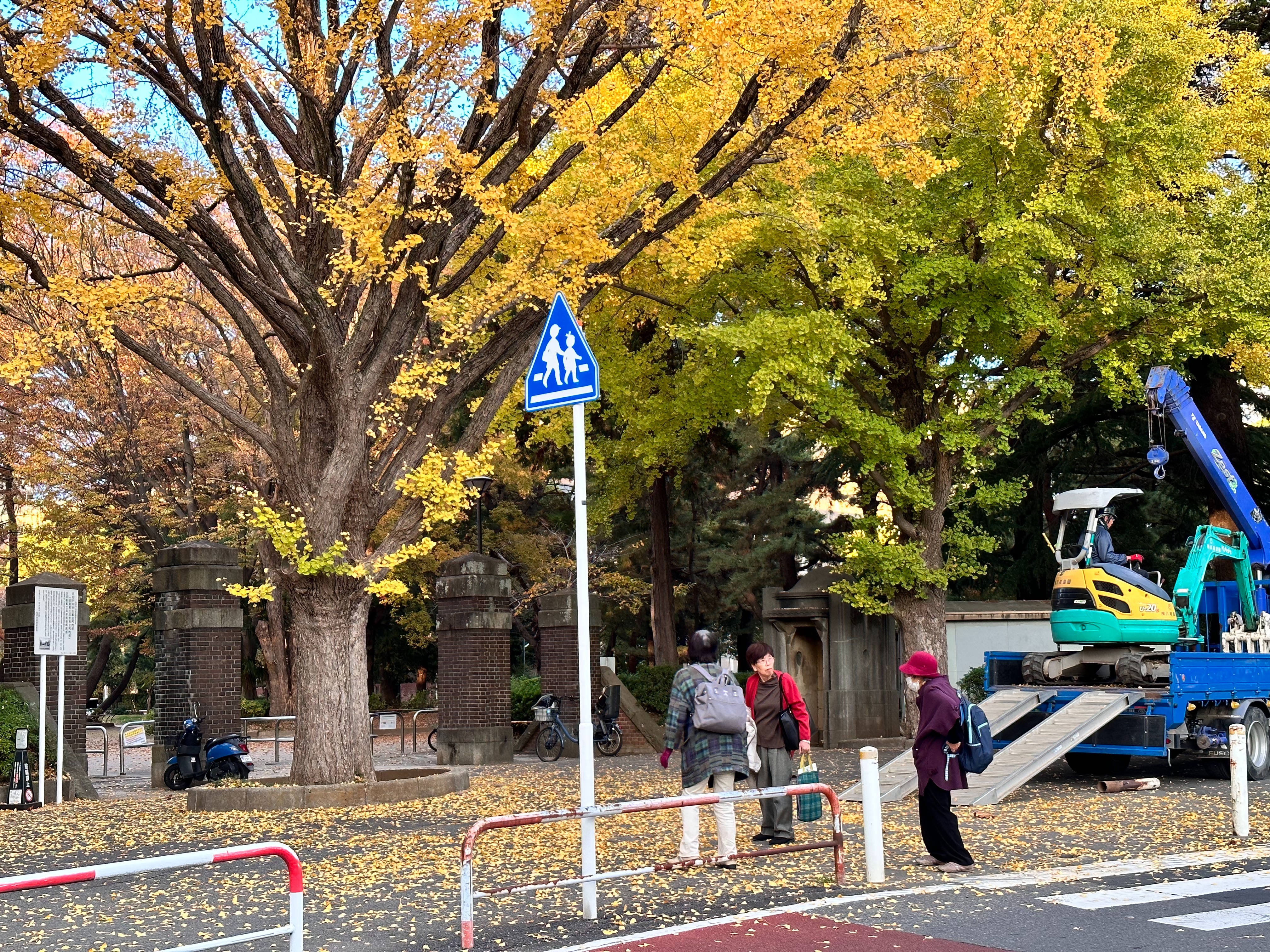 f:id:koji_cilvie:20231214193623j:image