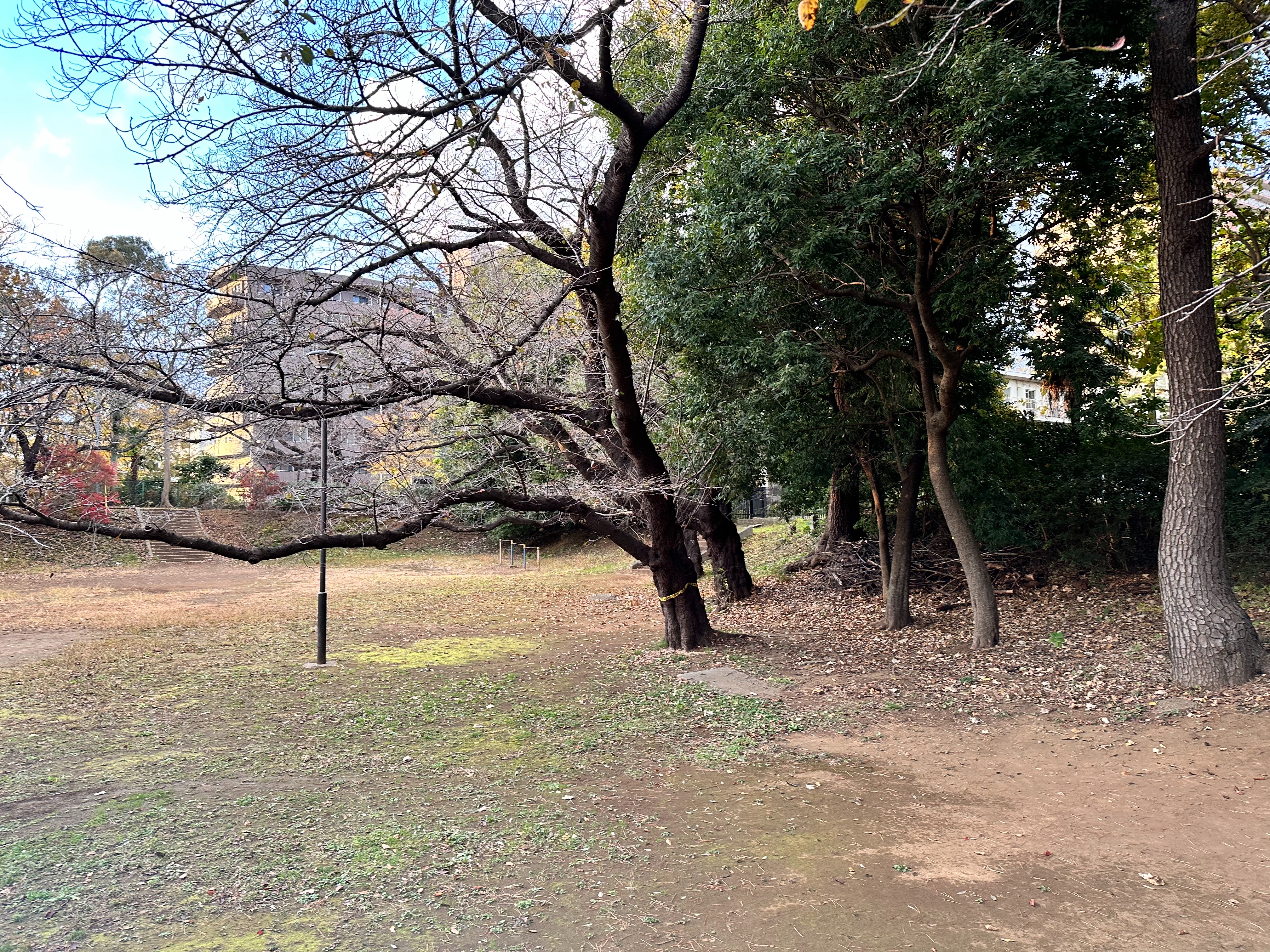 f:id:koji_cilvie:20231214204404j:image