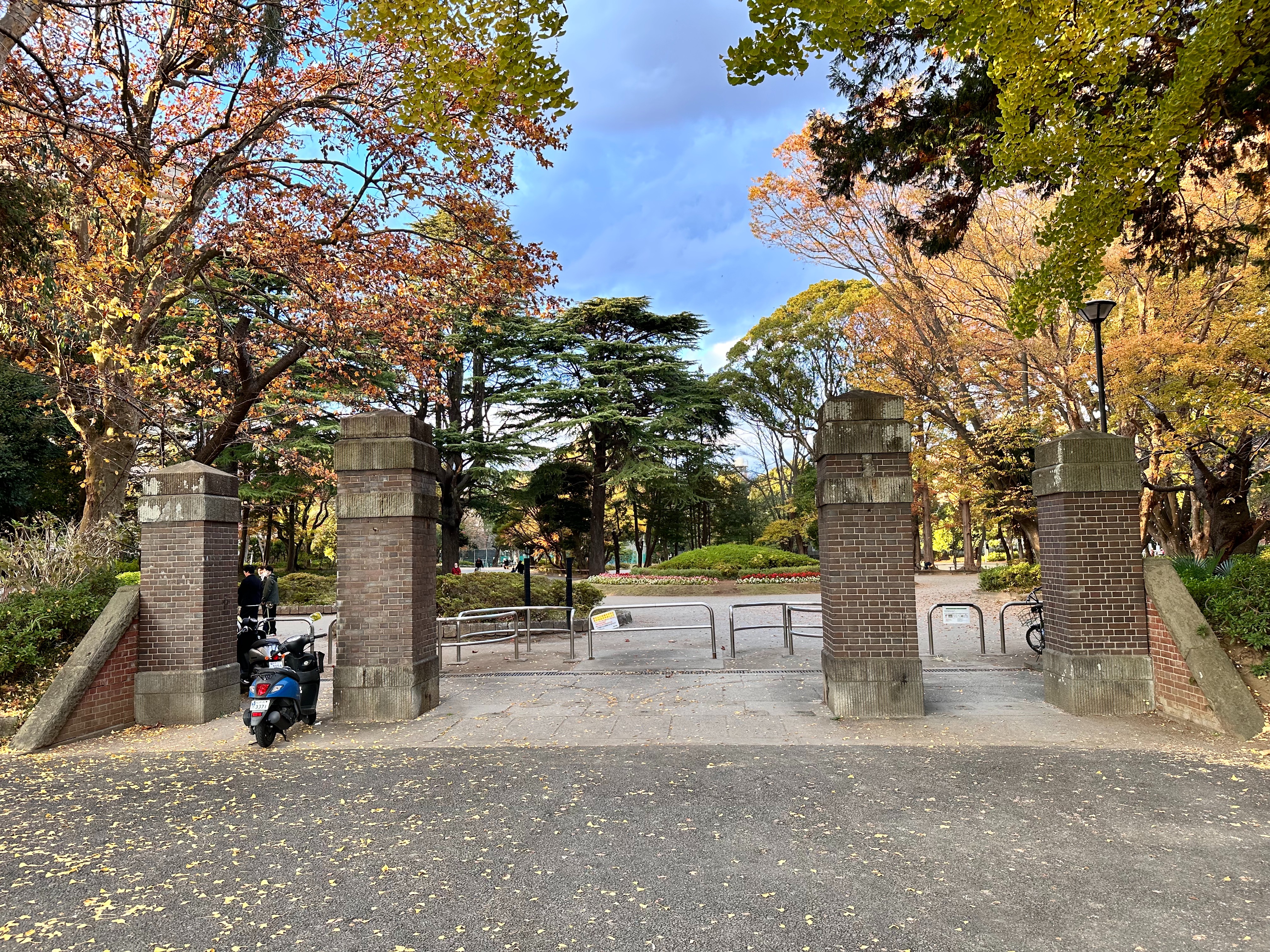 f:id:koji_cilvie:20231214204653j:image