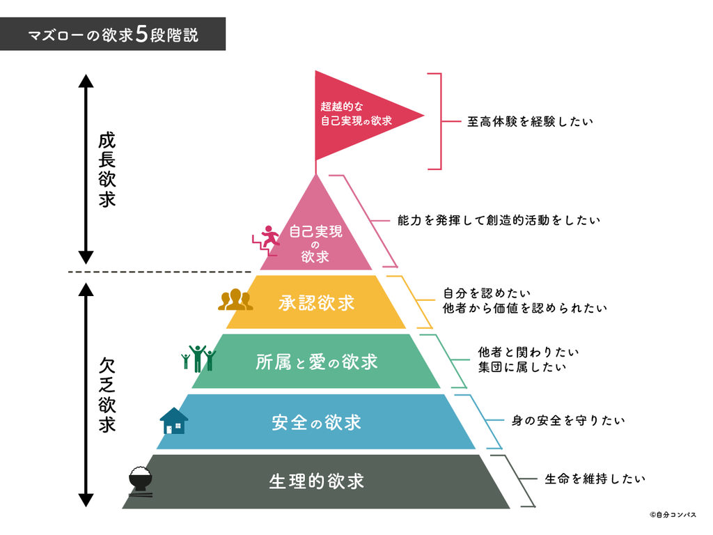 5. 運動