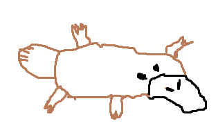 f:id:kojike20161116:20170109004240p:plain f:id:kojike20161116:20170109004240p:plain