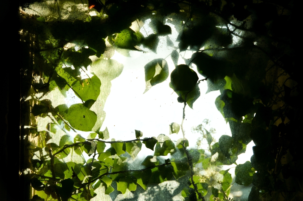 f:id:kojikensan:20201105001603j:plain f:id:kojikensan:20201105001603j:plain