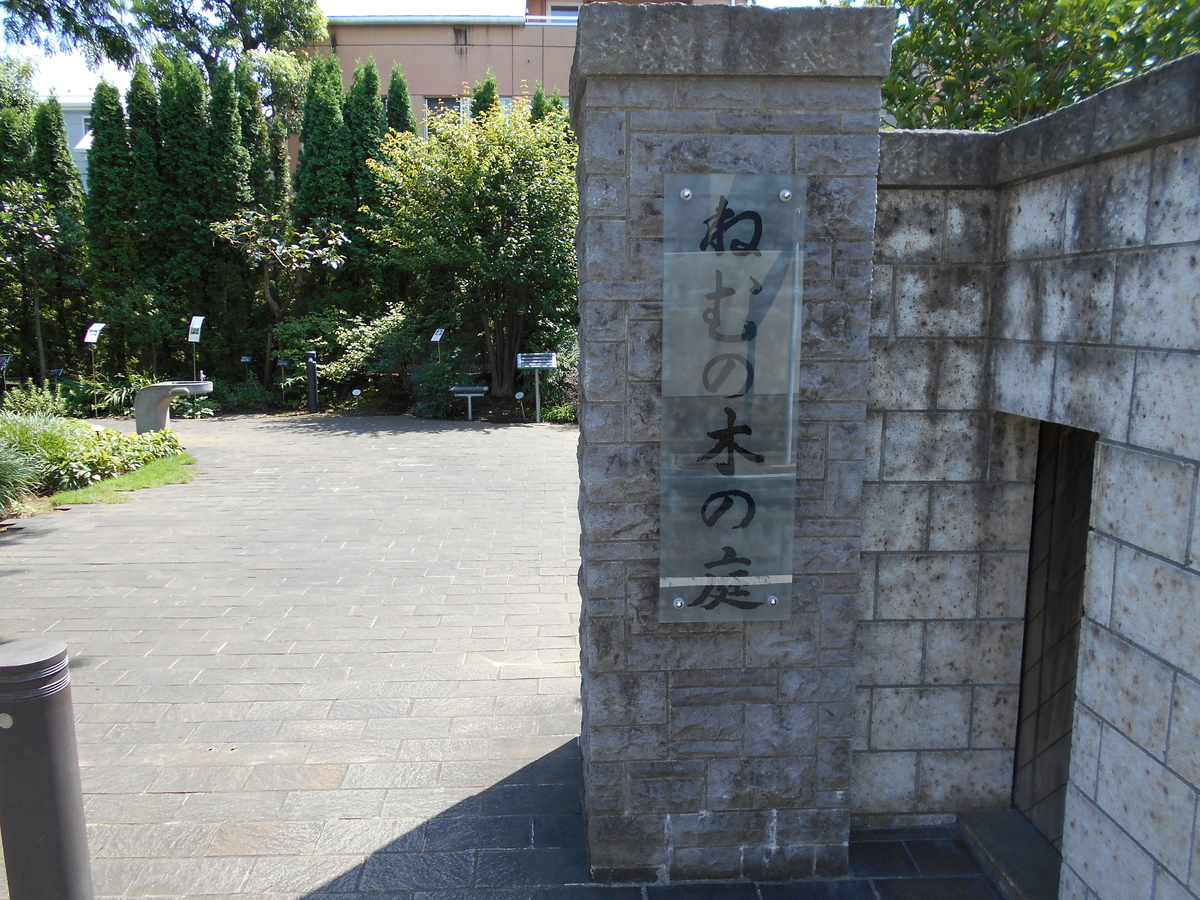 f:id:kojikint70:20190830142400j:plain f:id:kojikint70:20190830142400j:plain