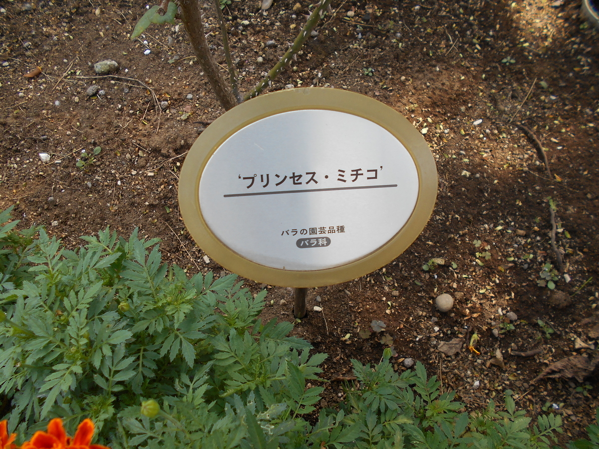 f:id:kojikint70:20190830142525j:plain f:id:kojikint70:20190830142525j:plain