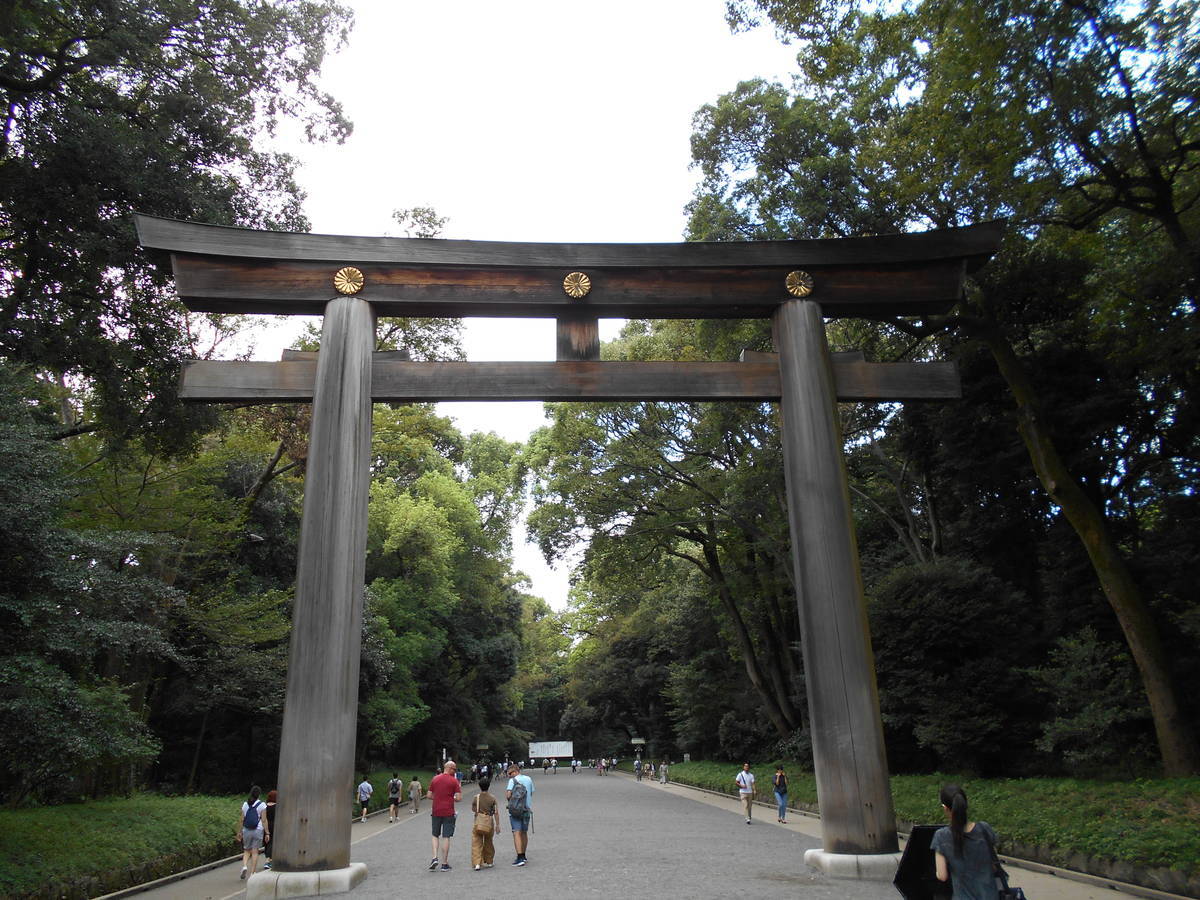 f:id:kojikint70:20190917121603j:plain f:id:kojikint70:20190917121603j:plain