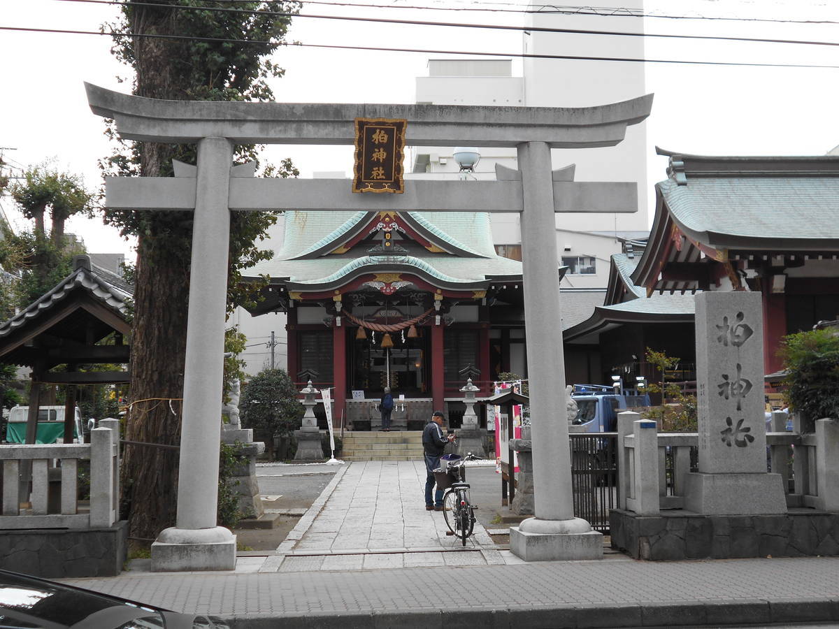 f:id:kojikint70:20191016111632j:plain f:id:kojikint70:20191016111632j:plain