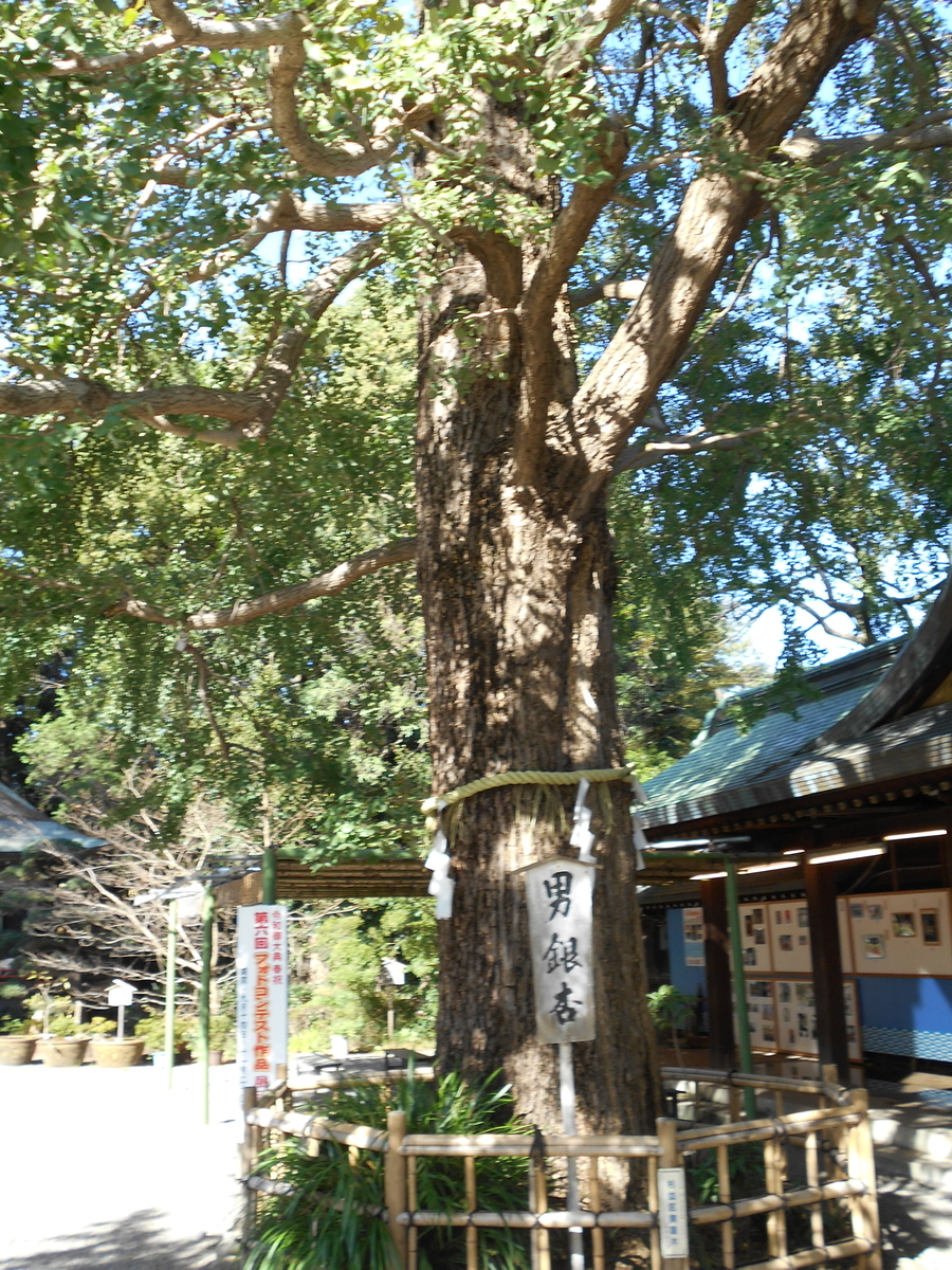 f:id:kojikint70:20191024172555j:plain