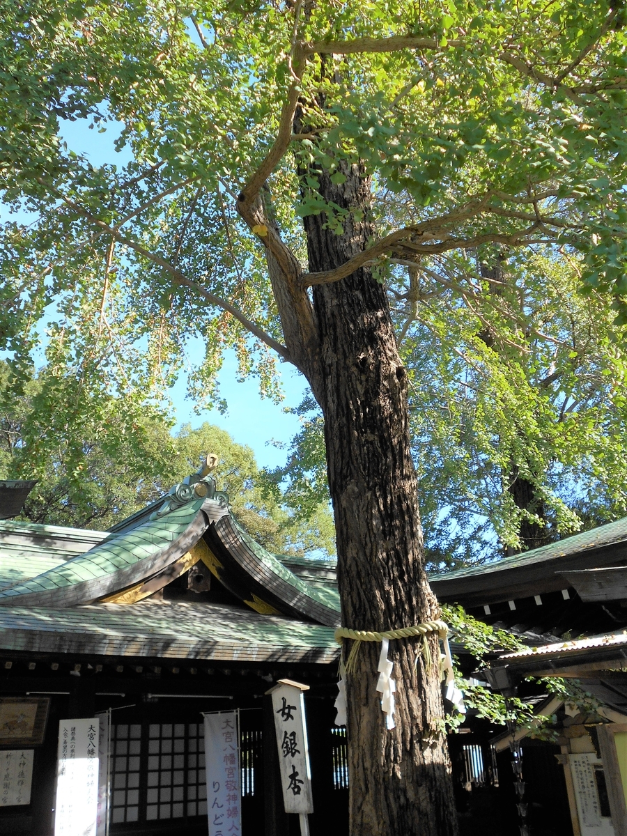 f:id:kojikint70:20191024172644j:plain