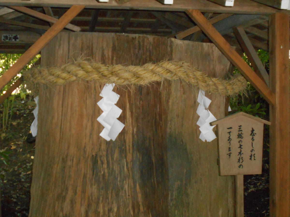 f:id:kojikint70:20191112211709j:plain
