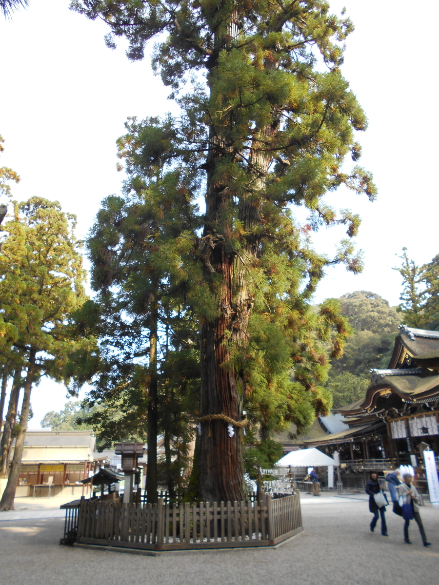 f:id:kojikint70:20191112212614j:plain