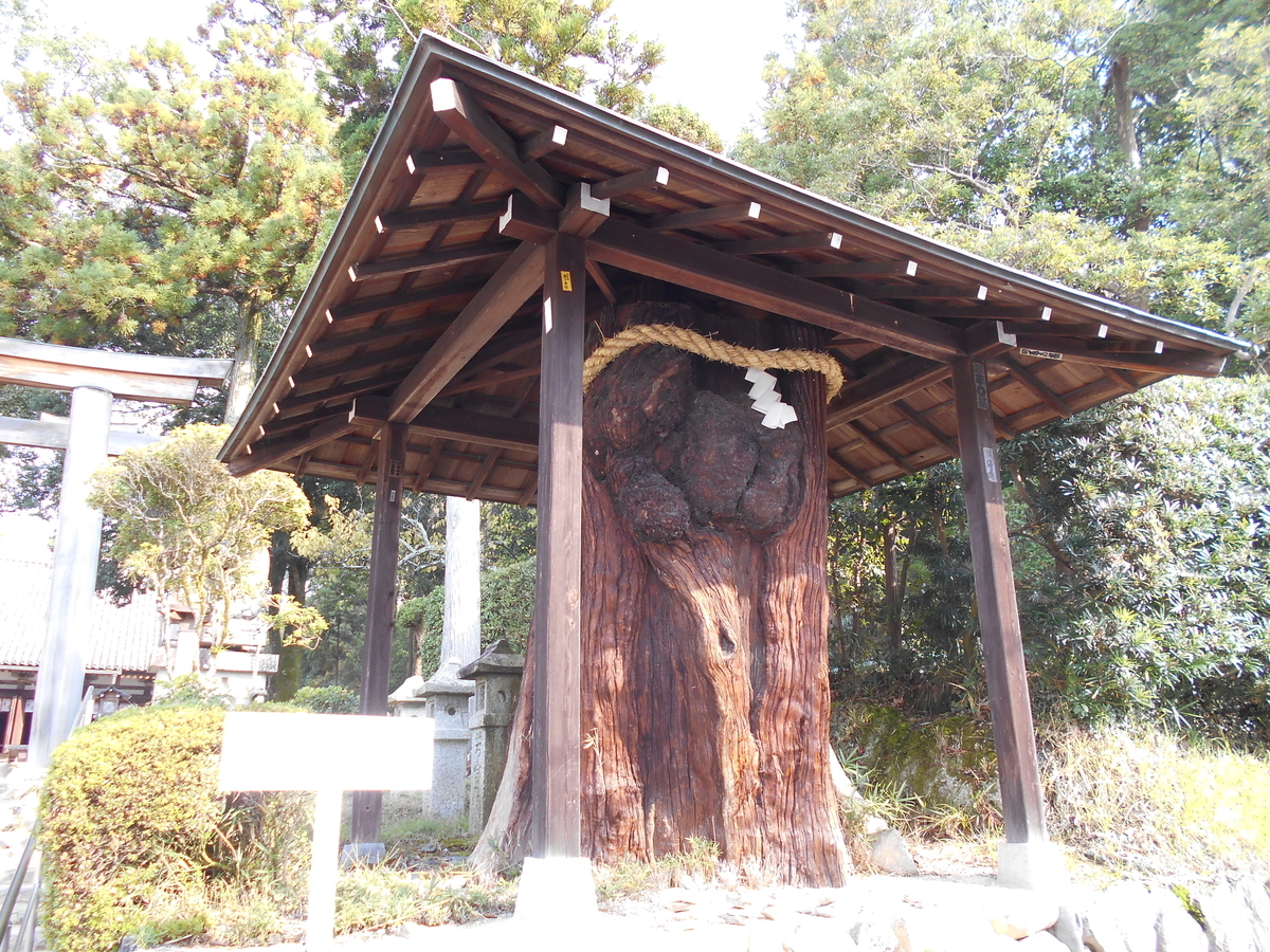 f:id:kojikint70:20191113162000j:plain
