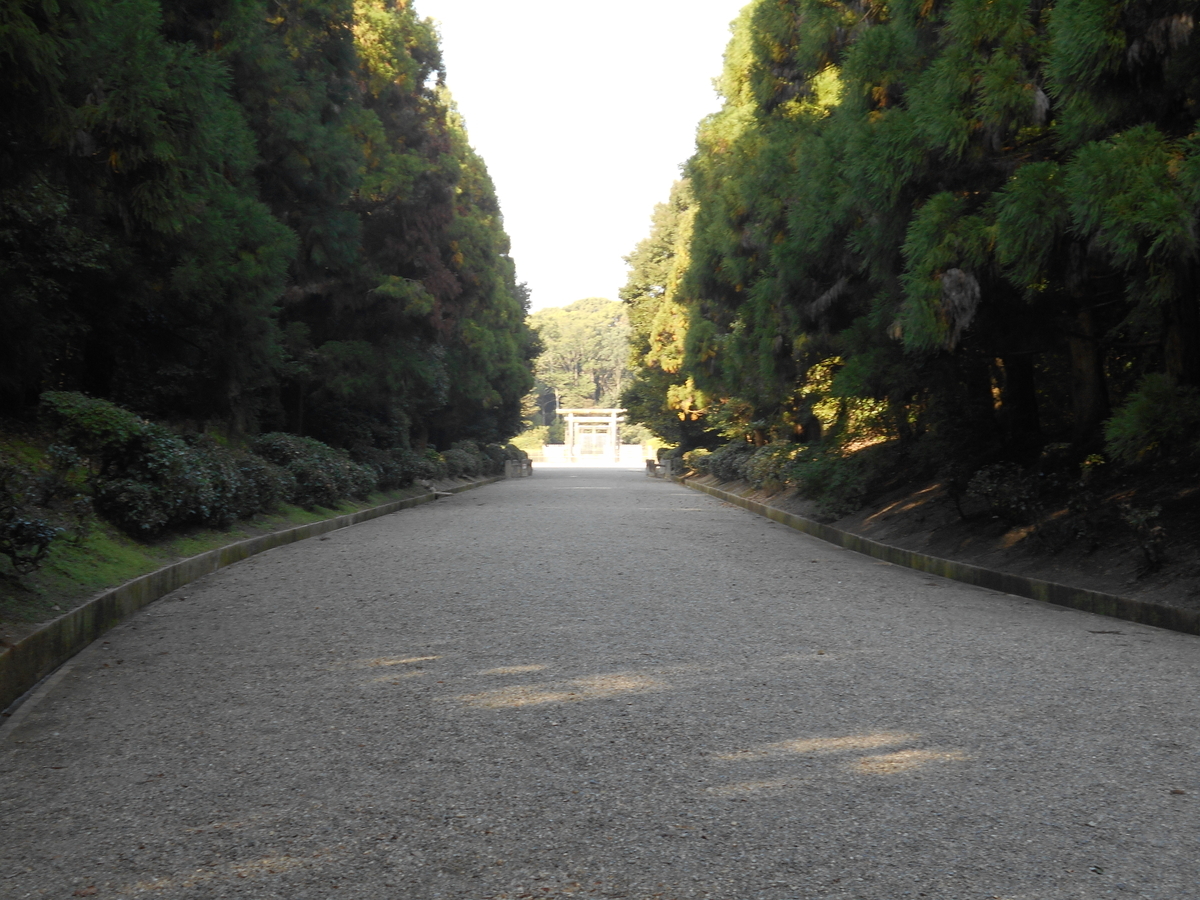 f:id:kojikint70:20191117202256j:plain f:id:kojikint70:20191117202256j:plain