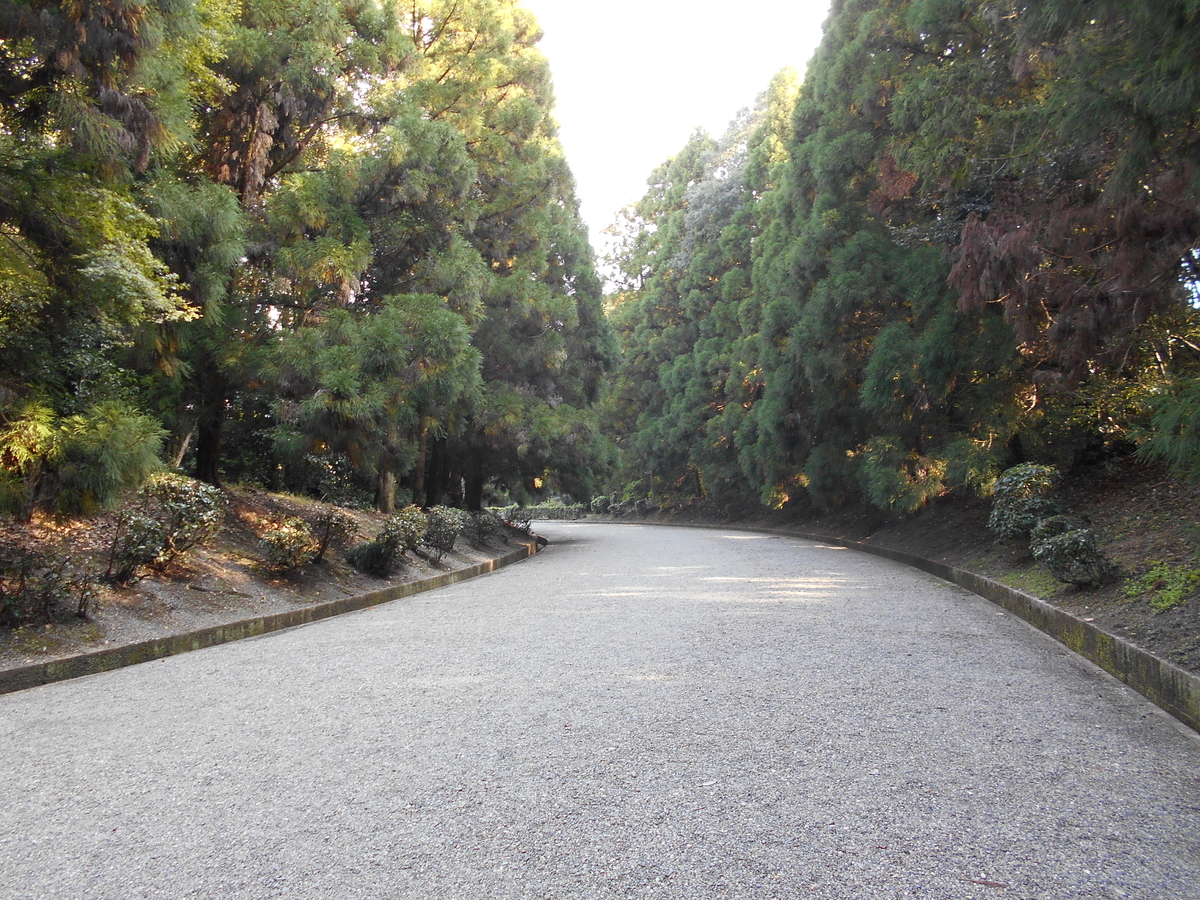 f:id:kojikint70:20191117202421j:plain f:id:kojikint70:20191117202421j:plain