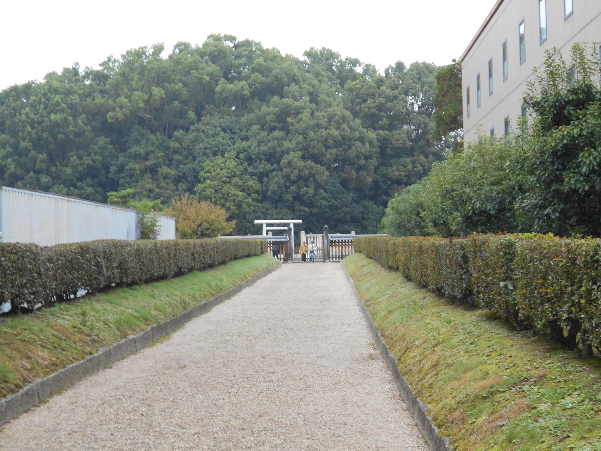 f:id:kojikint70:20191119150616j:plain